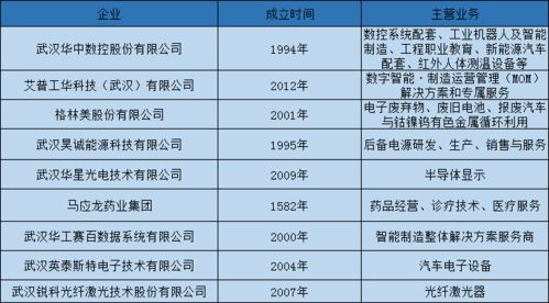 一窺武漢工業(yè)互聯(lián)網應用的喜與憂