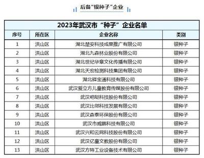 武漢"金種子""銀種子"名單公布 洪山25家企業入選