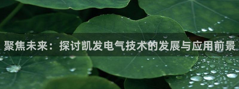 壹号平台注册链接官网下载
