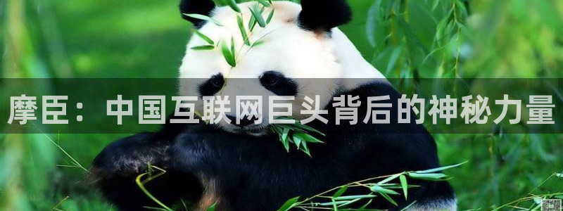 银河娱乐吧
