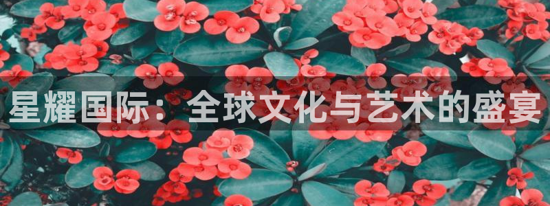 壹号大舞台娱乐app下载安装