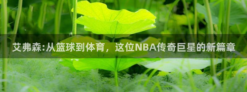壹号大舞台官网