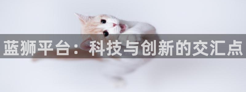 壹号平台下载安装