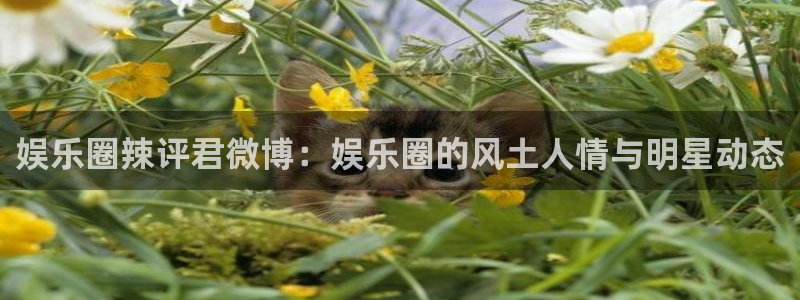 银河娱乐退款怎么退