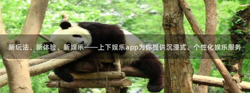 壹号平台app下载安装