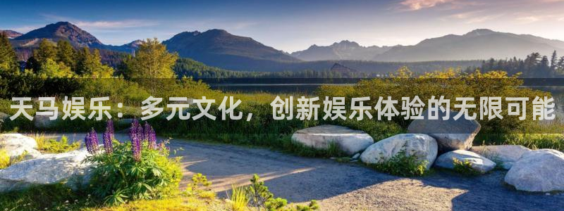壹号app下载链接
