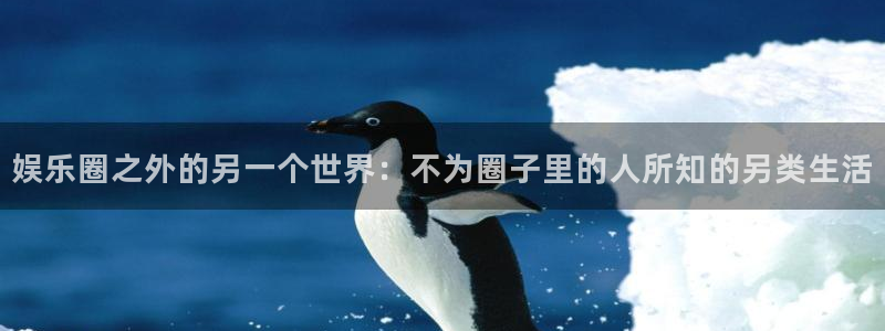 银河娱乐app最新版怎么下载苹果