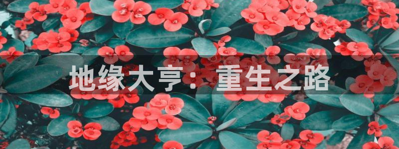 银河娱乐官网入口