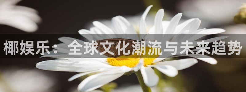 银河娱乐吧