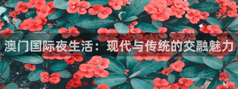 银河娱乐.com