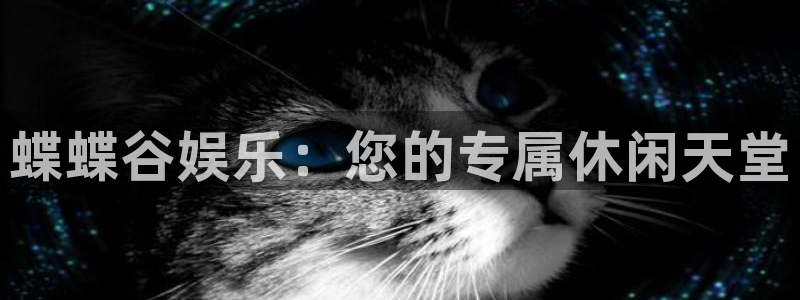 壹号大舞台