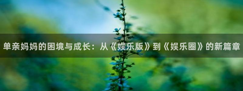 壹号电子娱乐app下载最新版本安装：单亲妈妈的困境与成长：从《娱乐版》到《娱乐圈》的新篇章