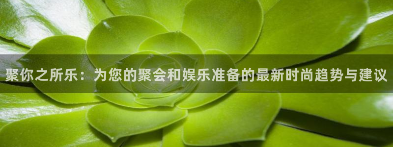 壹号国际app免费下载安装：聚你之所乐：为您的聚会和娱乐准备的最新时尚趋势与建议